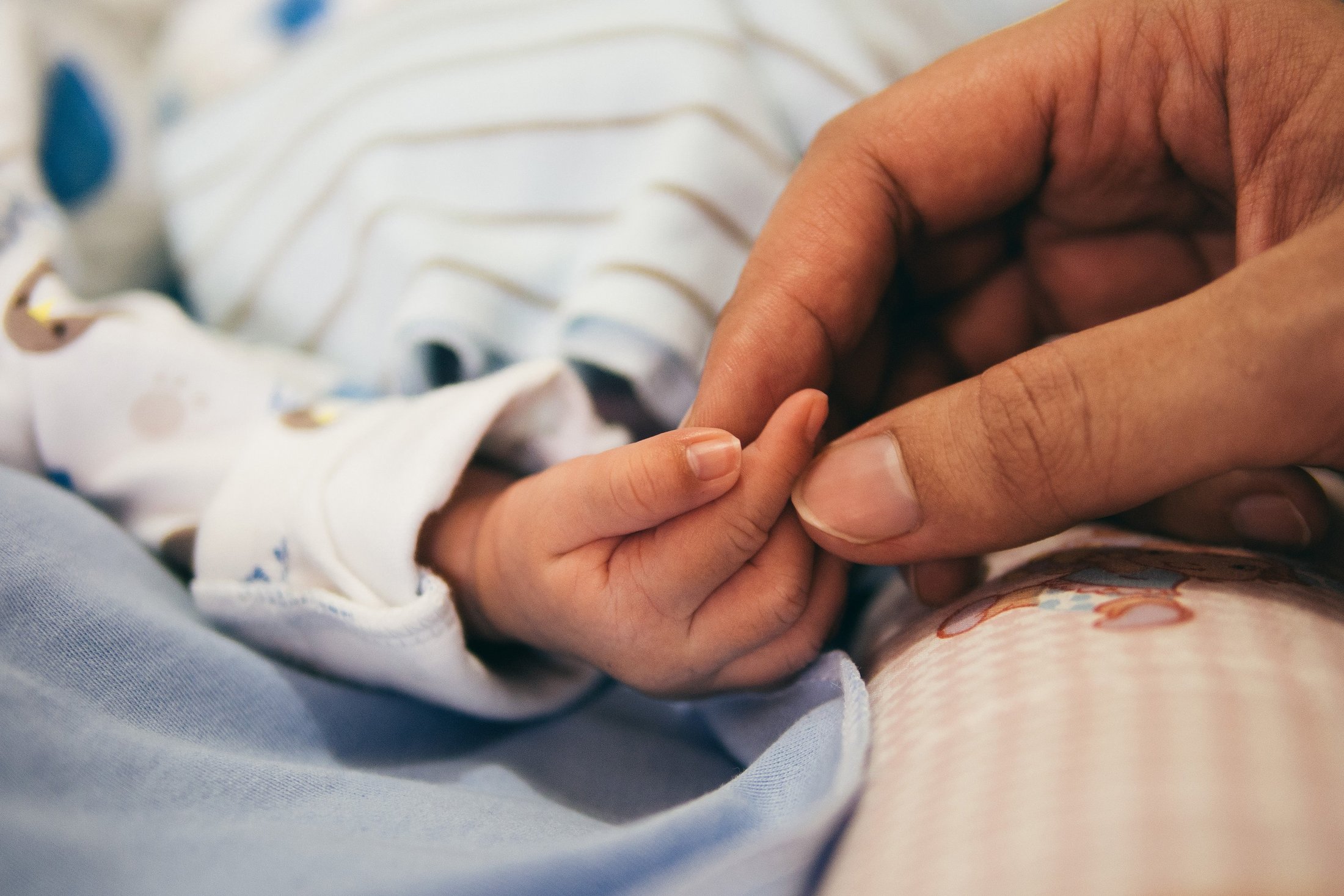 Close-up of a parent's hand holding a premature baby's hand