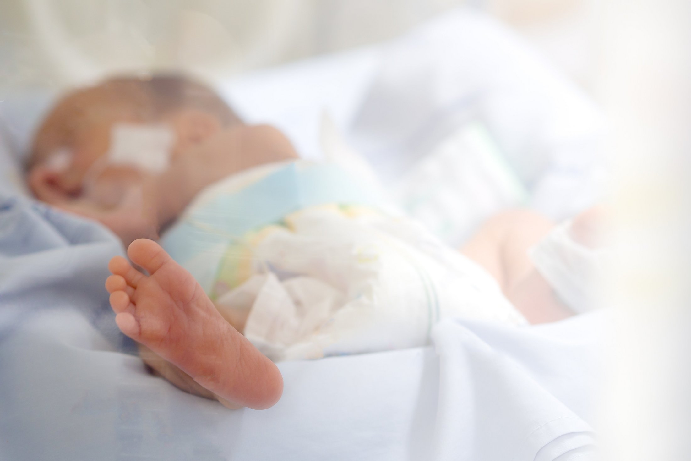 Premature baby resting in a neonatal incubator.
