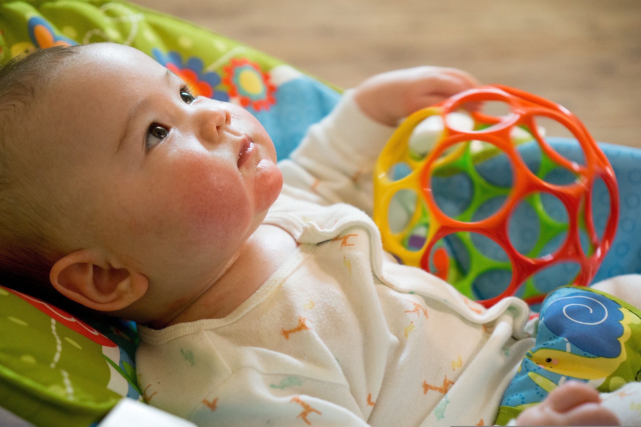 A baby holding a colourful toy while lying in a play seat.