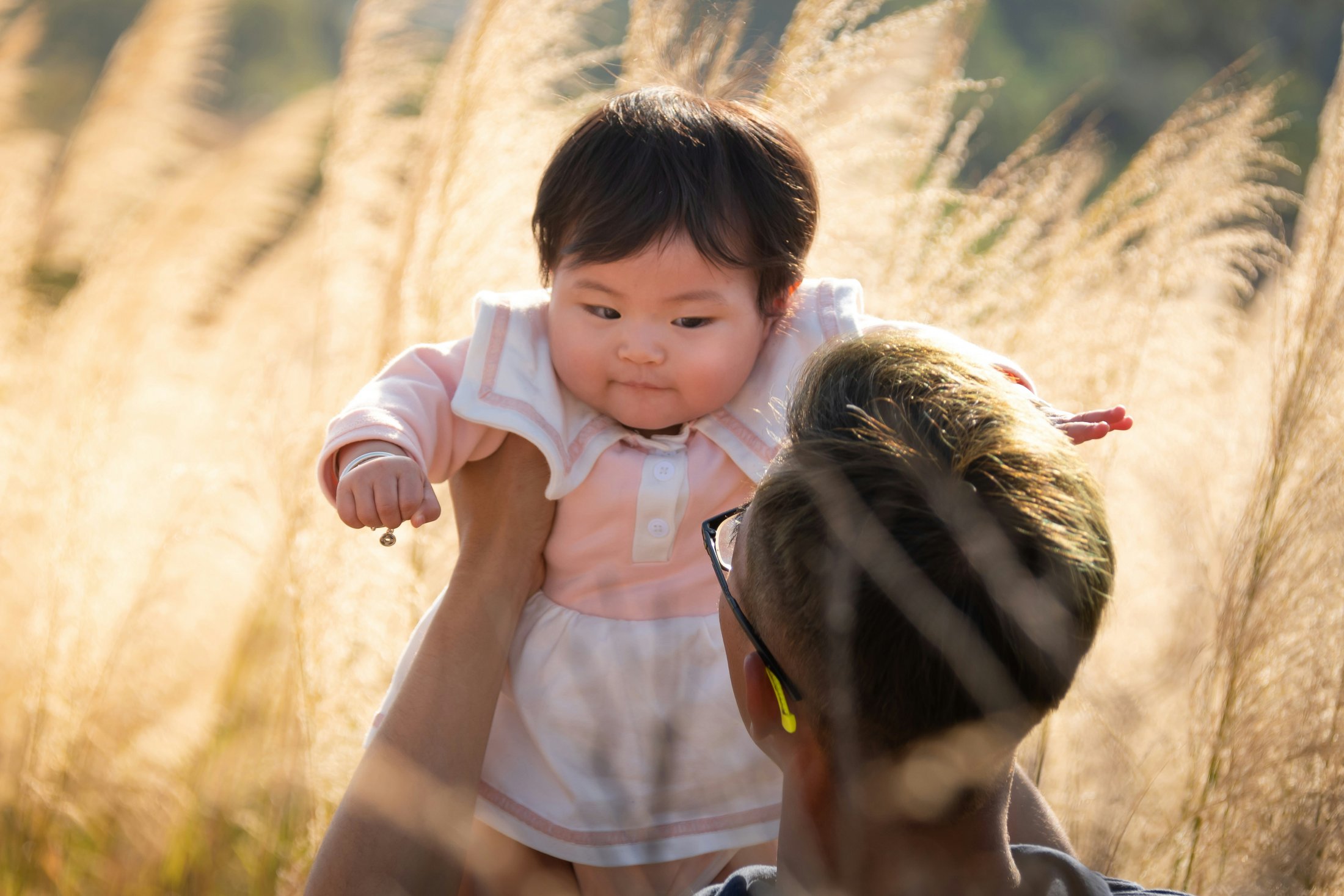 A father holding up a baby girl in a sunny field.