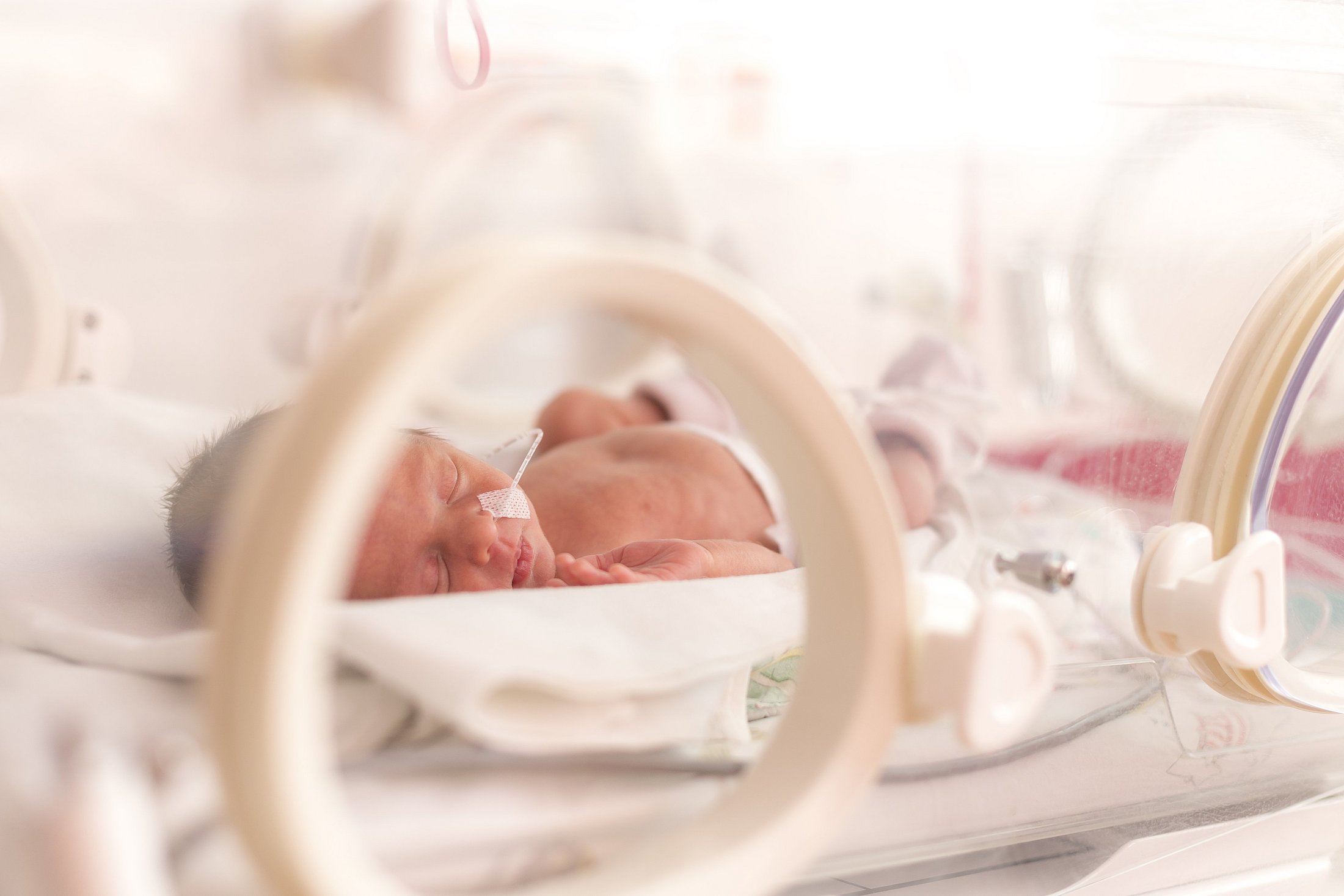 Premature baby sleeping inside a neonatal incubator