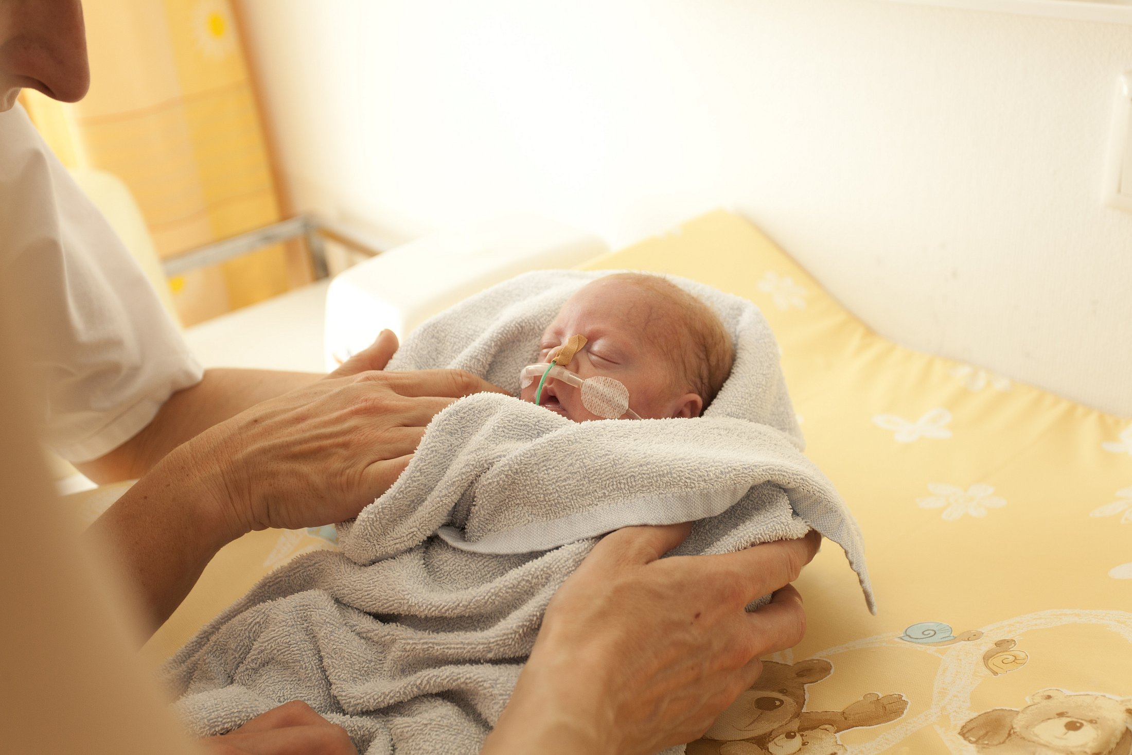 A small premature baby wrapped in a towel receiving care.
