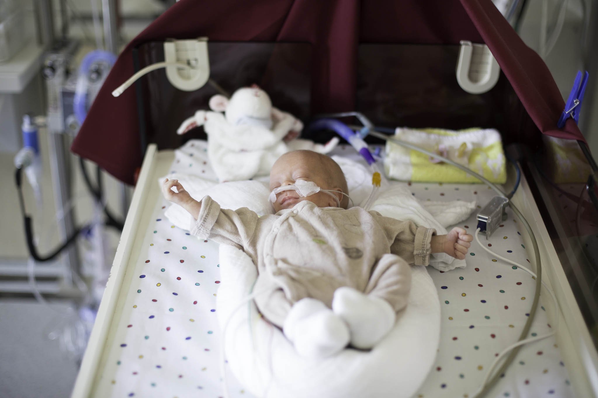 Premature baby resting in hospital bed with medical support.
