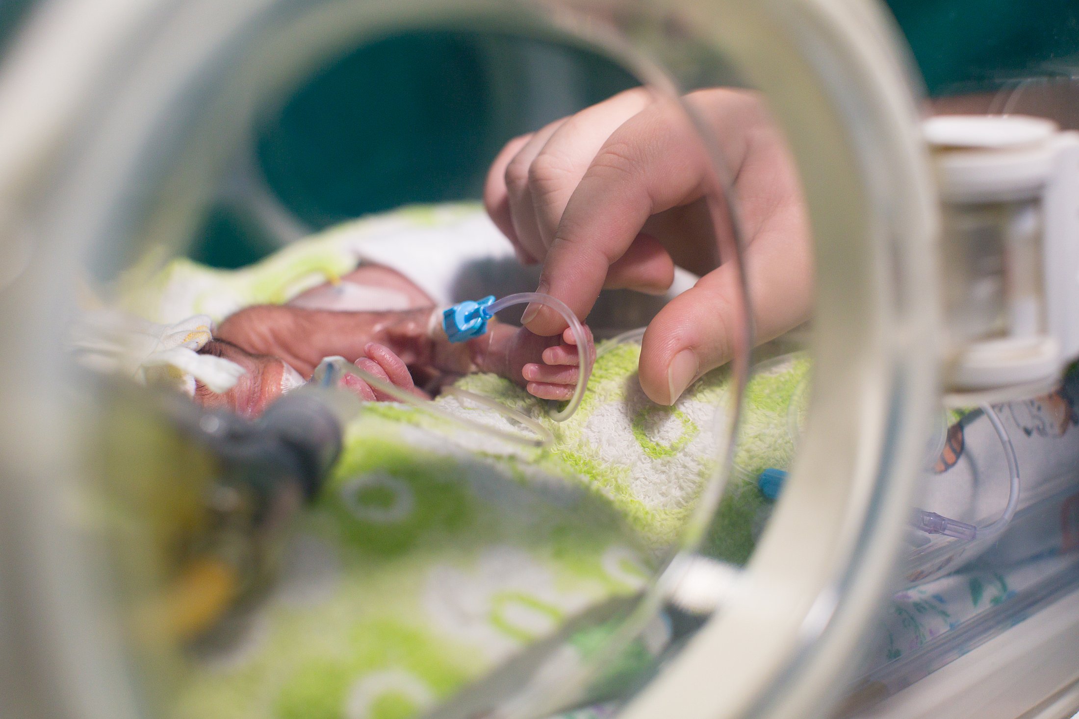 Parent holding premature baby's hand inside an incubator.