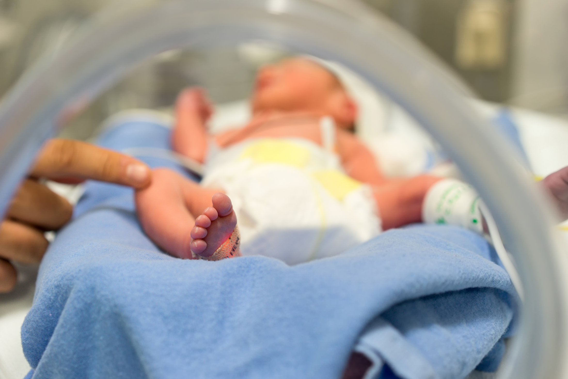 Parent’s finger touching a premature baby’s foot in an incubator.