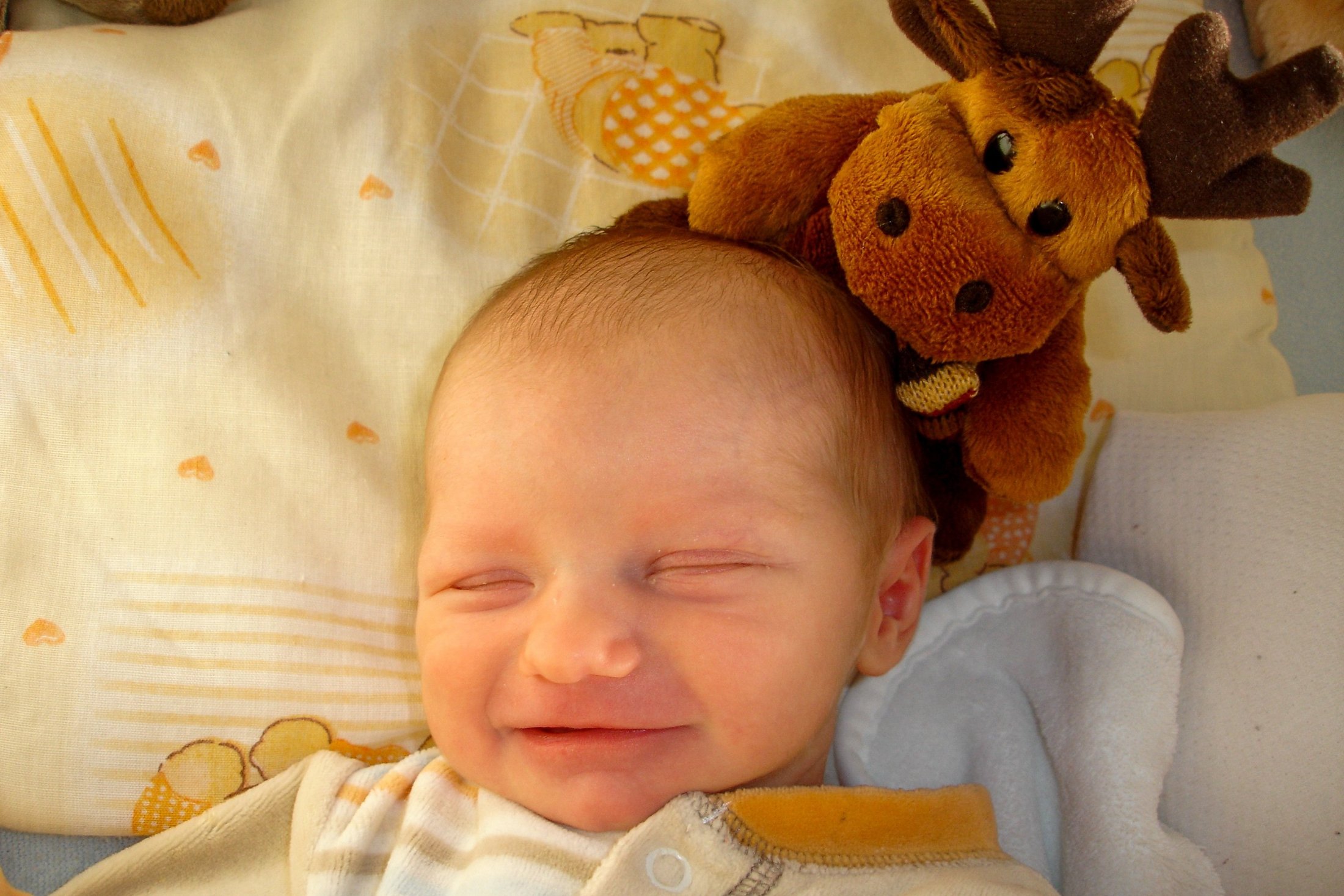 Newborn baby smiling with a moose soft toy.